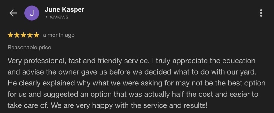 Google review from June Kasper for Alejandros Landscaping